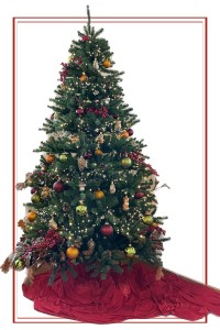 http://www.christbaumkiste.at/1076-thickbox_01mode/alle-kisten.jpg